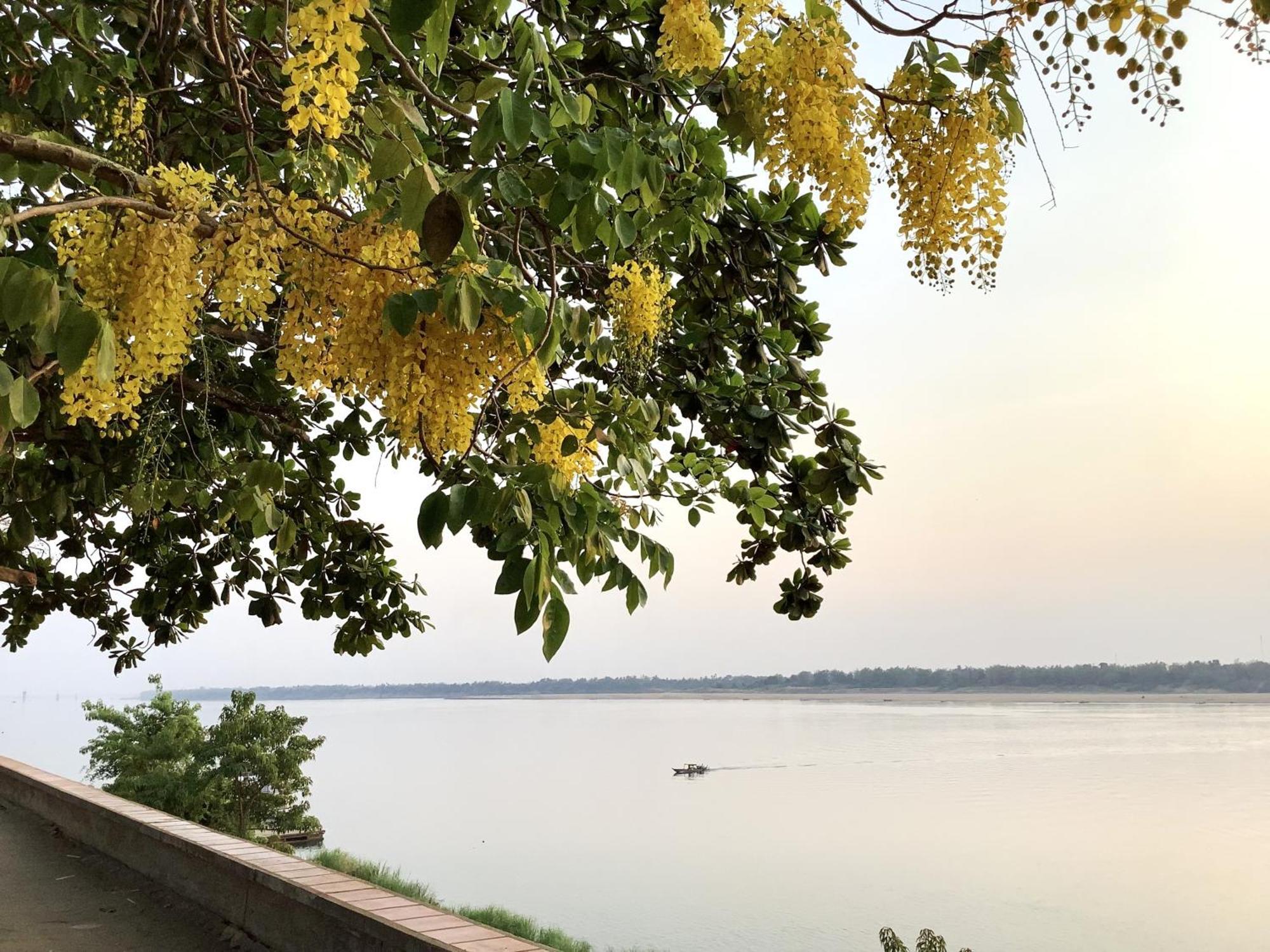 Le Tonle Otel Kratie Dış mekan fotoğraf